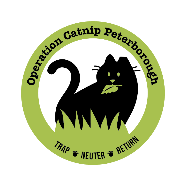 Operation Catnip Peterborough logo features a black cat with an ear tip holding a piece of catnip in it's mouth.